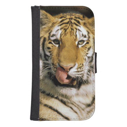 USA Michigan Detroit Detroit Zoo tiger Phone Wallet