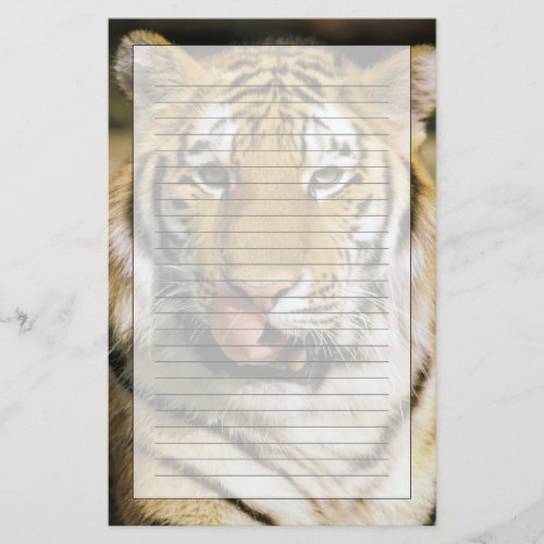 USA Michigan Detroit Detroit Zoo tiger Stationery