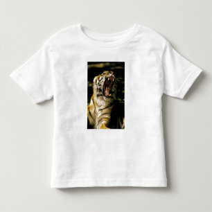 USA, Michigan, Detroit. Detroit Zoo, tiger Toddler T-shirt