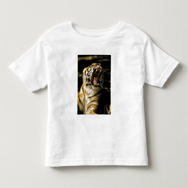 USA, Michigan, Detroit. Detroit Zoo, tiger Toddler T-shirt (Front)