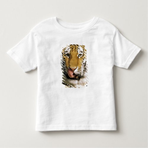 USA Michigan Detroit Detroit Zoo tiger Toddler T_shirt