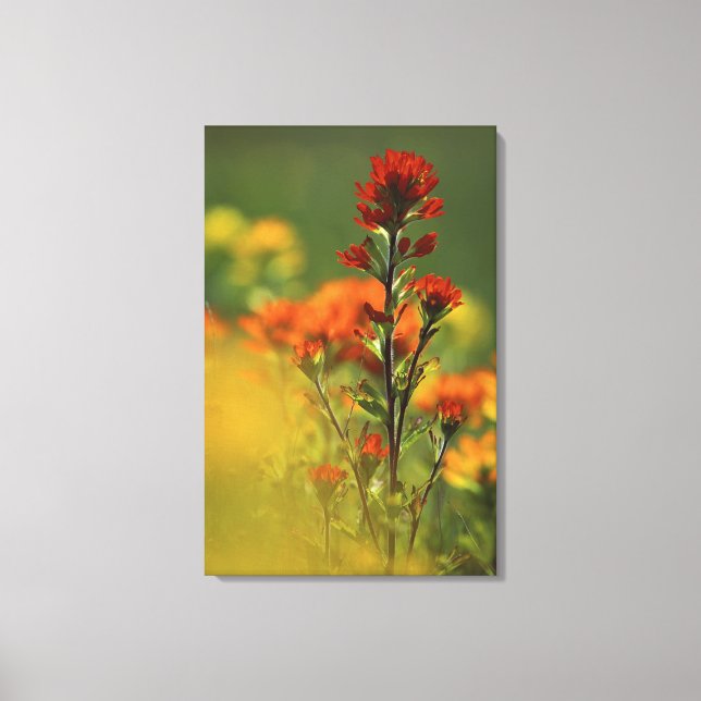 USA, Michigan, Drummond Island, Maxton Plains, Canvas Print (Front)