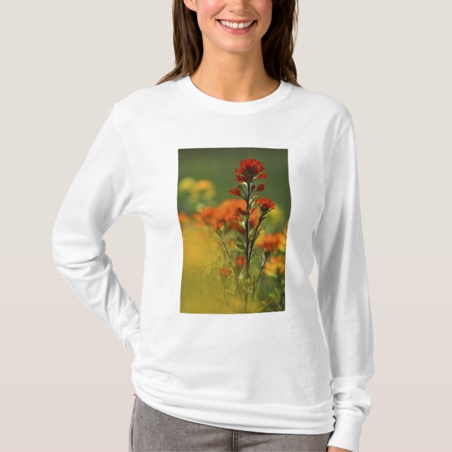 USA, Michigan, Drummond Island, Maxton Plains, T-Shirt (Front)