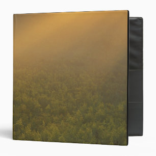 USA, Michigan, Meadow of goldenrod plants Binder