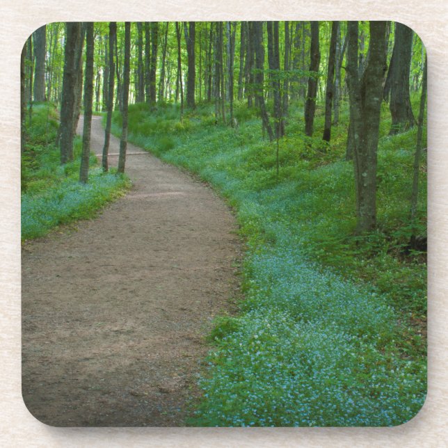 USA, Michigan. Miner's Falls Trail Beverage Coaster (Front)