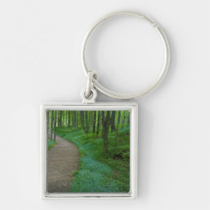 USA, Michigan. Miner's Falls Trail Keychain