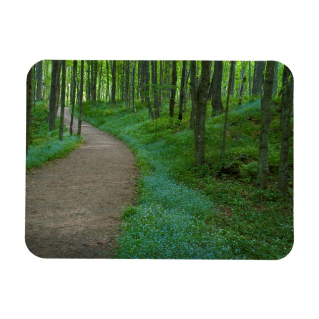 USA, Michigan. Miner's Falls Trail Magnet (Horizontal)