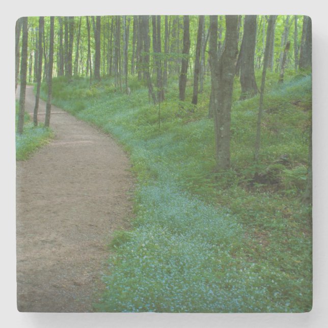USA, Michigan. Miner's Falls Trail Stone Coaster (Front)