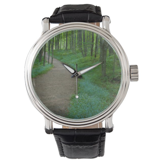USA, Michigan. Miner's Falls Trail Watch (Front)