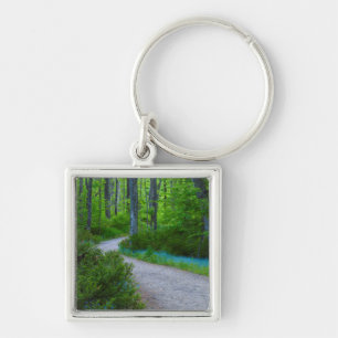USA, Michigan. Path Thru The Woods Keychain