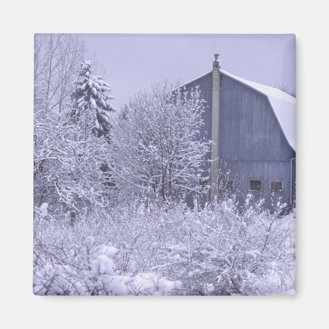 USA, Michigan, Rochester Hills. Snowy blue Magnet (Front)