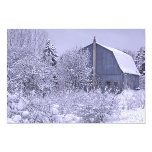 USA, Michigan, Rochester Hills. Snowy blue Photo Print