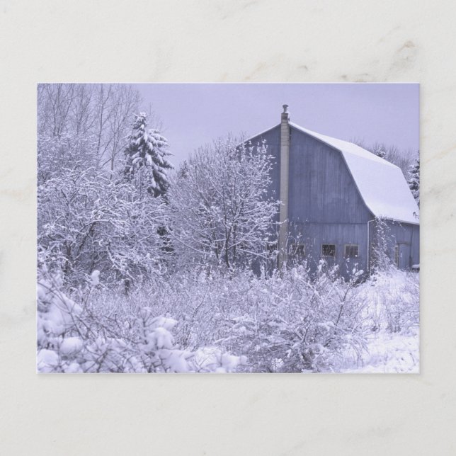 USA, Michigan, Rochester Hills. Snowy blue Postcard (Front)