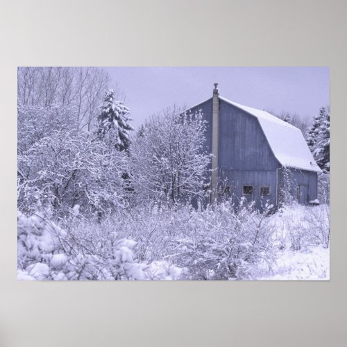 USA Michigan Rochester Hills Snowy blue Poster