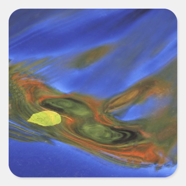 USA, Michigan, Upper Peninsula, birch leaf in Square Sticker (Front)