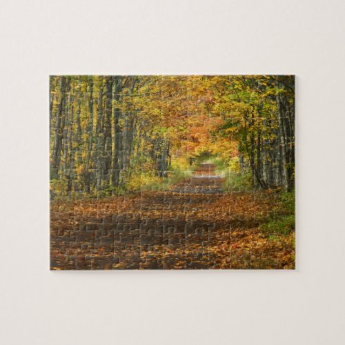 USA Michigan Upper Peninsula Roadway into Jigsaw Puzzle