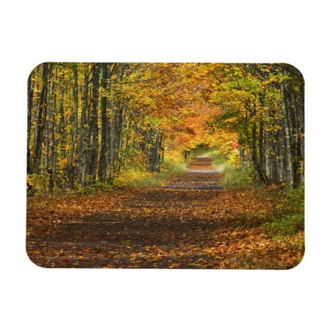 USA, Michigan, Upper Peninsula. Roadway into Magnet (Horizontal)
