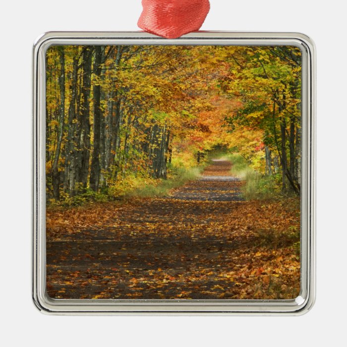 USA, Michigan, Upper Peninsula. Roadway into Christmas Ornaments