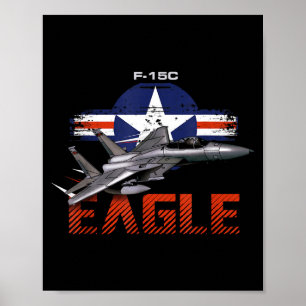 Usa Military Warbird F15 Eagle Military Airplane  Poster