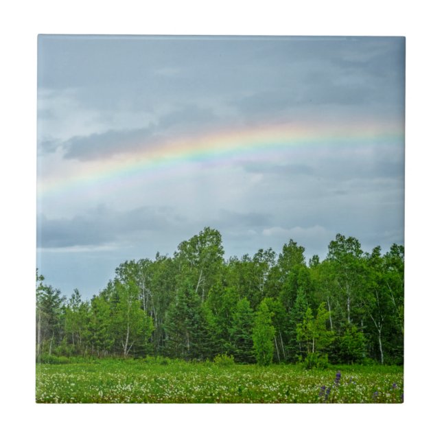 USA, Minnesota. Green meadow with wildflowers Ceramic Tile (Front)