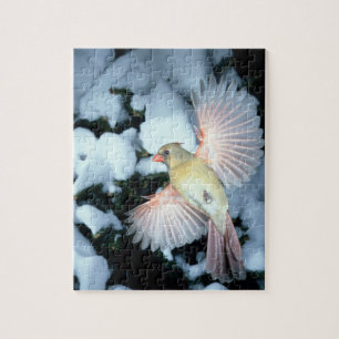 USA, Minnesota, Mendota Heights, Female Cardinal Jigsaw Puzzle