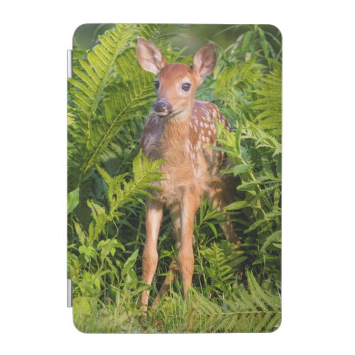 USA Minnesota Sandstone Minnesota Wildlife 10 iPad Mini Cover