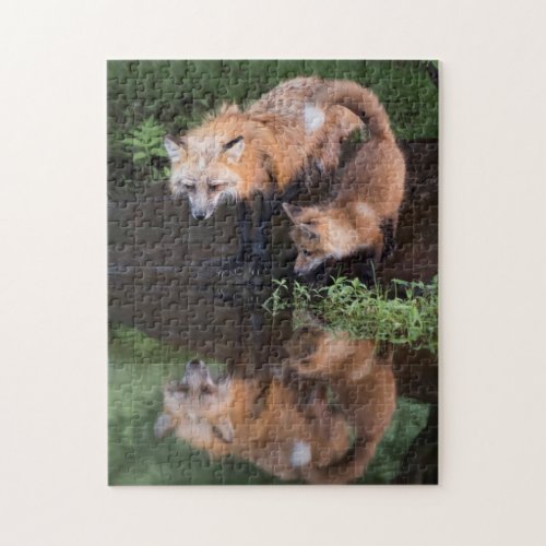 USA Minnesota Sandstone Minnesota Wildlife 11 Jigsaw Puzzle