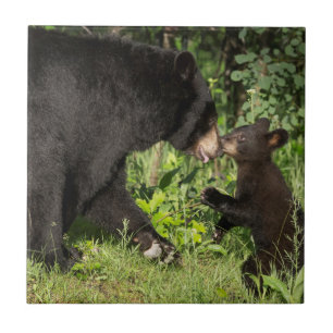 USA, Minnesota, Sandstone, Minnesota Wildlife 13 Ceramic Tile