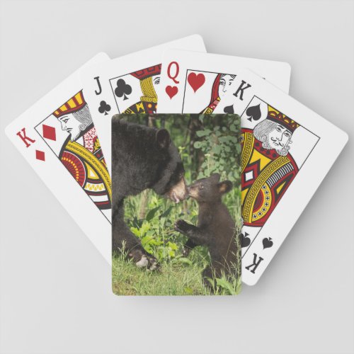 USA Minnesota Sandstone Minnesota Wildlife 13 Playing Cards