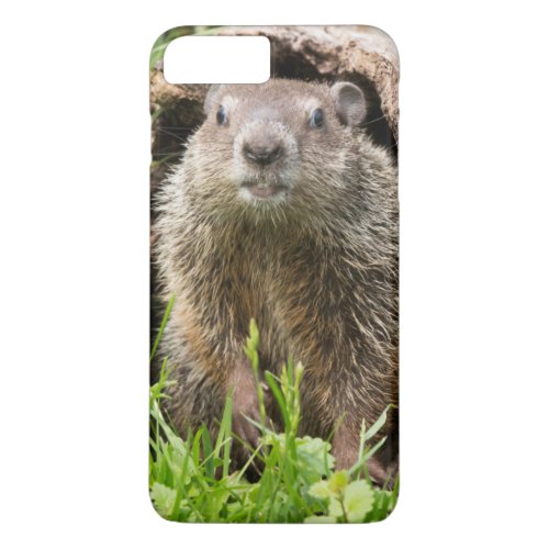 USA Minnesota Sandstone Minnesota Wildlife 15 iPhone 8 Plus7 Plus Case