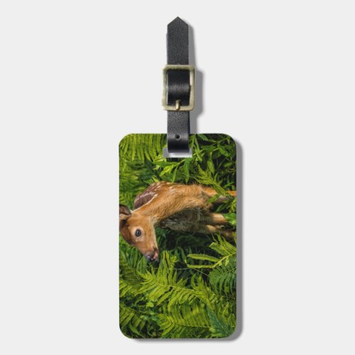 USA Minnesota Sandstone Minnesota Wildlife 16 Luggage Tag