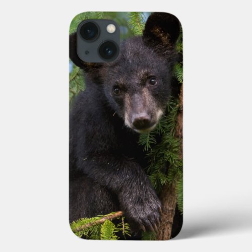 USA Minnesota Sandstone Minnesota Wildlife 8 iPhone 13 Case