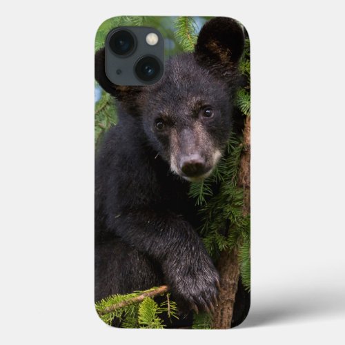 USA Minnesota Sandstone Minnesota Wildlife 8 iPhone 13 Case