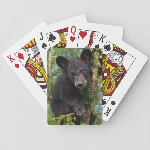 USA Minnesota Sandstone Minnesota Wildlife 8 Playing Cards