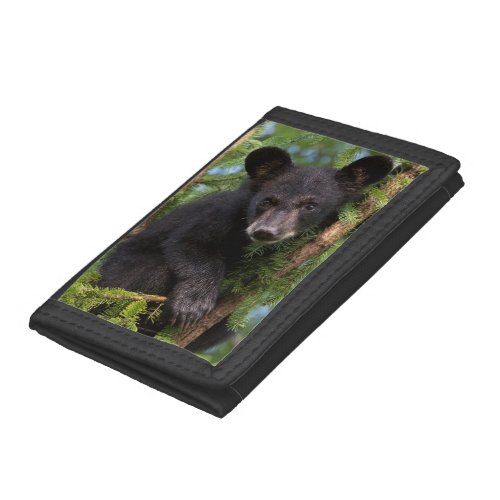 USA Minnesota Sandstone Minnesota Wildlife 8 Trifold Wallet