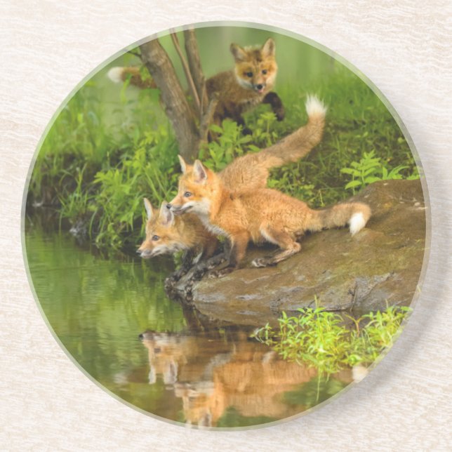 USA, Minnesota, Sandstone, Minnesota Wildlife Drink Coaster (Front)