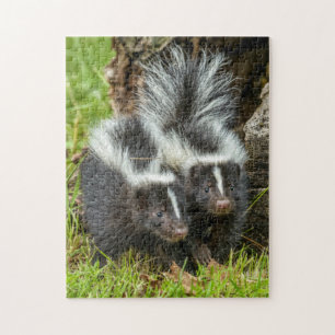 USA, Minnesota, Sandstone, Minnesota Wildlife Jigsaw Puzzle