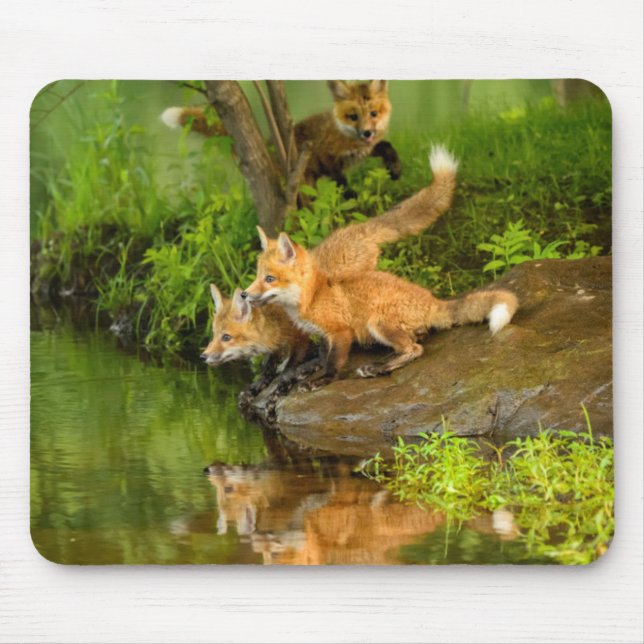 USA, Minnesota, Sandstone, Minnesota Wildlife Mouse Pad (Front)