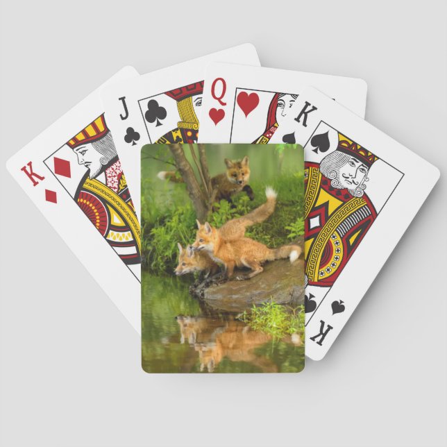 USA, Minnesota, Sandstone, Minnesota Wildlife Poker Cards (Back)