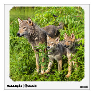 USA, Minnesota, Sandstone, Minnesota Wildlife Wall Decal