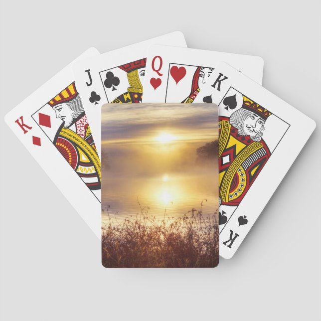 USA, Missouri, Kansas City Metro Area, Fleming Poker Cards (Back)