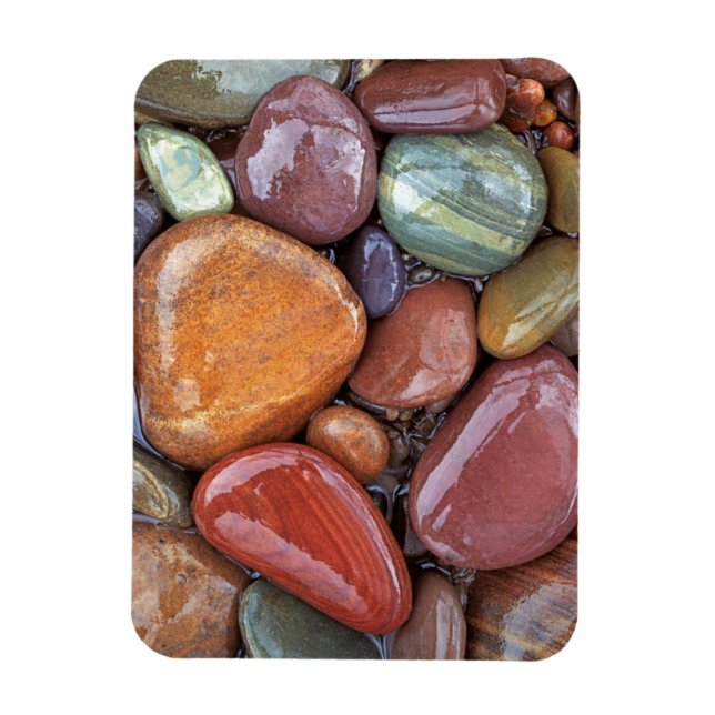 USA, Montana, Clark Fork River, Stones 2 Magnet (Vertical)