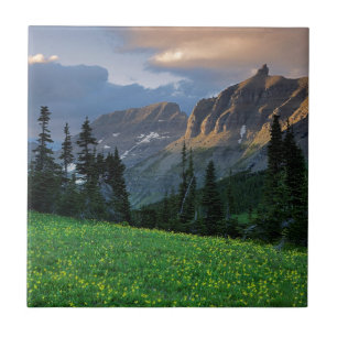 USA, Montana, Glacier National Park, Logan Pass Ceramic Tile