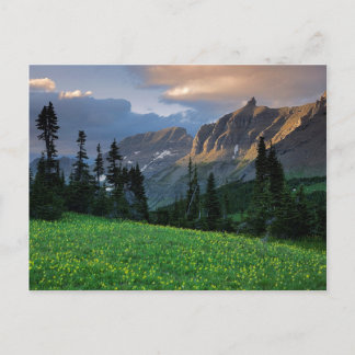 USA, Montana, Glacier National Park, Logan Pass Postcard