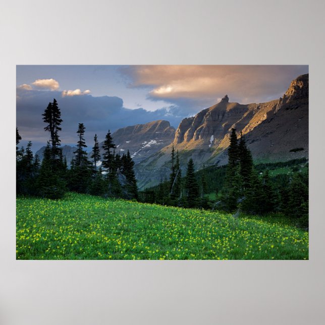 USA, Montana, Glacier National Park, Logan Pass Poster (Front)