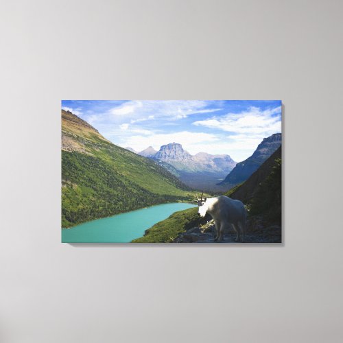 USA Montana Glacier National Park Mountain Canvas Print