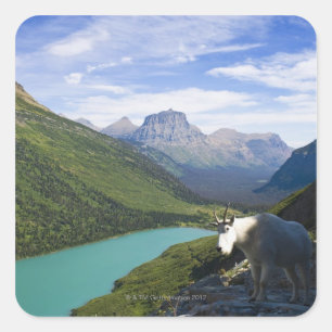 USA, Montana, Glacier National Park, Mountain Square Sticker