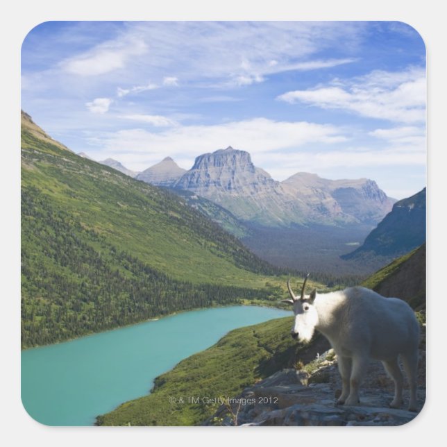USA, Montana, Glacier National Park, Mountain Square Sticker (Front)