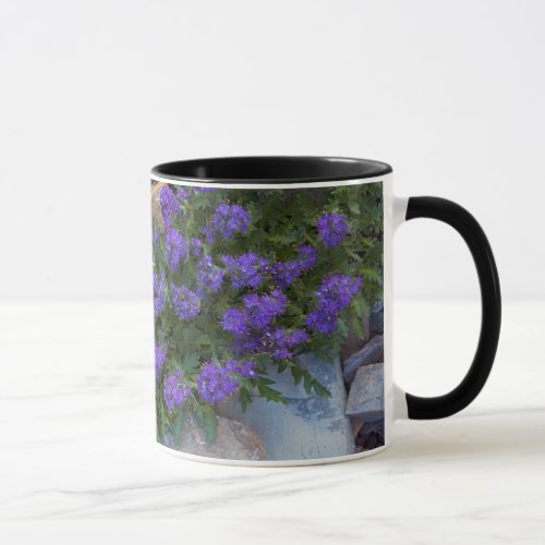 USA Montana Glacier National Park Mug