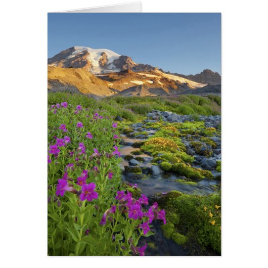 USA, Mt. Rainier National Park, Washington. (Front)